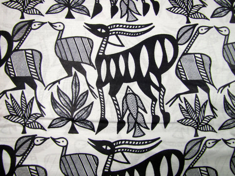 African Black and White Wildlife