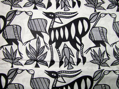 African Black and White Wildlife