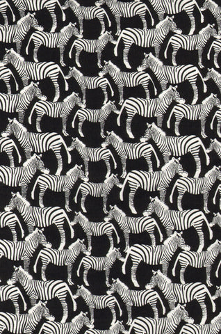 All Over Zebras ~ Black C9172