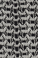 All Over Zebras ~ Black C9172
