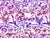 Anthology Batik Purple 540