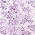 Artisan Batiks Arboretum Lilac 11637-21