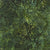 Artisan Batiks Avocado 13853-218