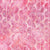 Artisan Batiks Elementals Geos 2 Pink 9498-10