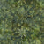 Artisan Batiks Northwoods 2 Forest ~ AMD-12249-44