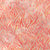 Artisan Batiks Posies 2 Camellia 11671-122