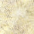 Artisan Batiks Posies 2 Wheat 11671-158