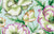 Banded Poppy - Mint