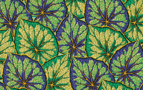 Begonia Leaves - Green