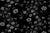Black GS0007CW01