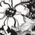 Black & White Master Flower 112-24301