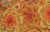 Brassica - Brown