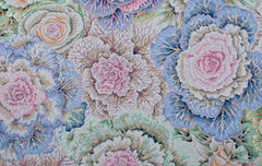 Brassica - Gray