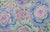 Brassica - Gray