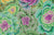 Brassica - Moss