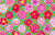 Camellia ~ Pink