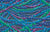 Cascades - Blue