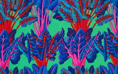 Chard~Blue