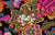 Cloisonne - Black
