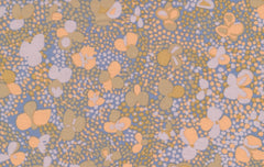 Clover Dots - Pastel