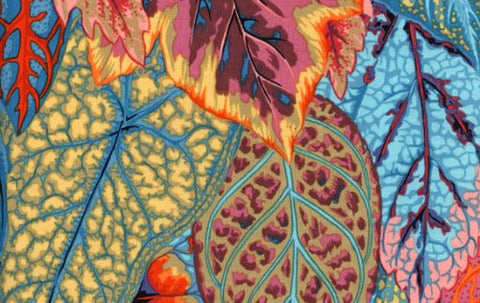 Coleus - Teal