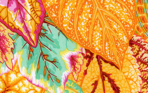 Coleus - Yellow