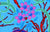 Daffodils & Dogwood - Blue