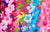 Delphinium - Pink