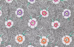 Dianthus - White