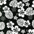 Paradise Pareaus 2 - 12963-2 Black