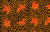 Peking ~ Orange