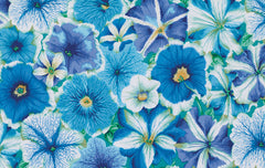 Petunias - Delft