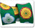 Picotee Poppy on Green 22mm