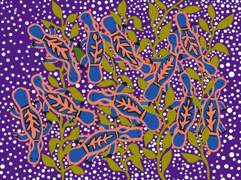 Platypus - Purple