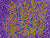 Platypus - Purple