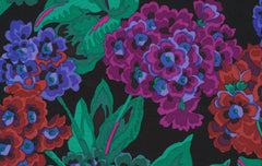 Primula - Black