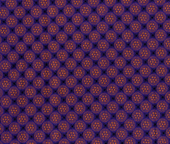 Purple GS0009CW06