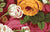 Rambling Rose - Natural
