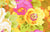 Rambling Rose - Yellow