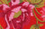 Rustic Floral - Red