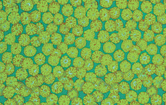 Sand Dollars - Green