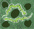 Snake & Water Lily Green