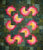 Sunflower Illusions Quilt Kit