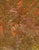 Tonga Berry Crisp Honey B9597