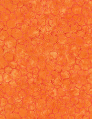 Tonga Bubbles Poppy B2050