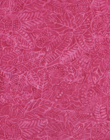 Tonga Ground Cover Leaves Fuchsia B1418