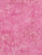 Tonga Kiss B1222