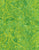 Tonga Paisley Midori B2048