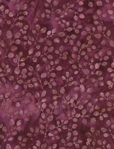 Tonga Plum B1570