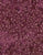 Tonga Plum B1570